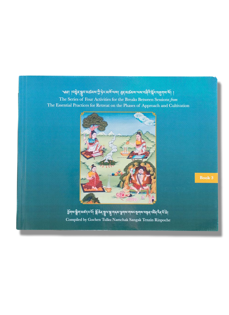 The Series of Four Activities for the Breaks Between Sessions