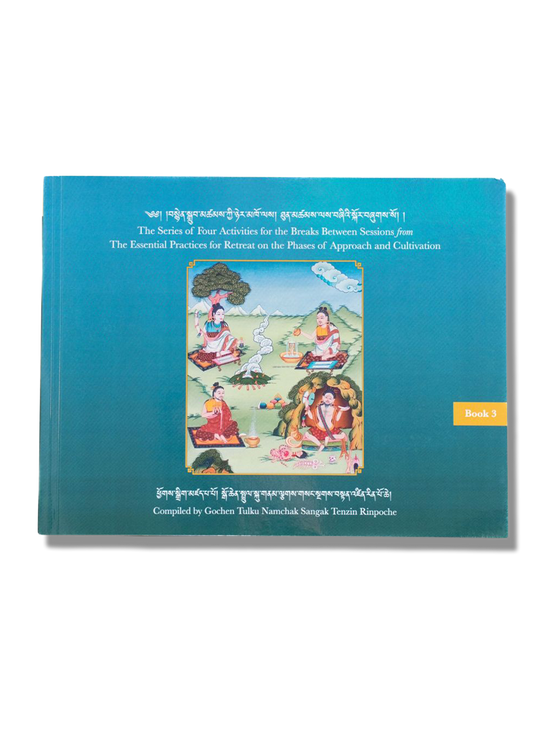 The Series of Four Activities for the Breaks Between Sessions