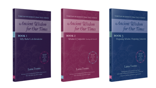 Ancient Wisdom for Our Times Series