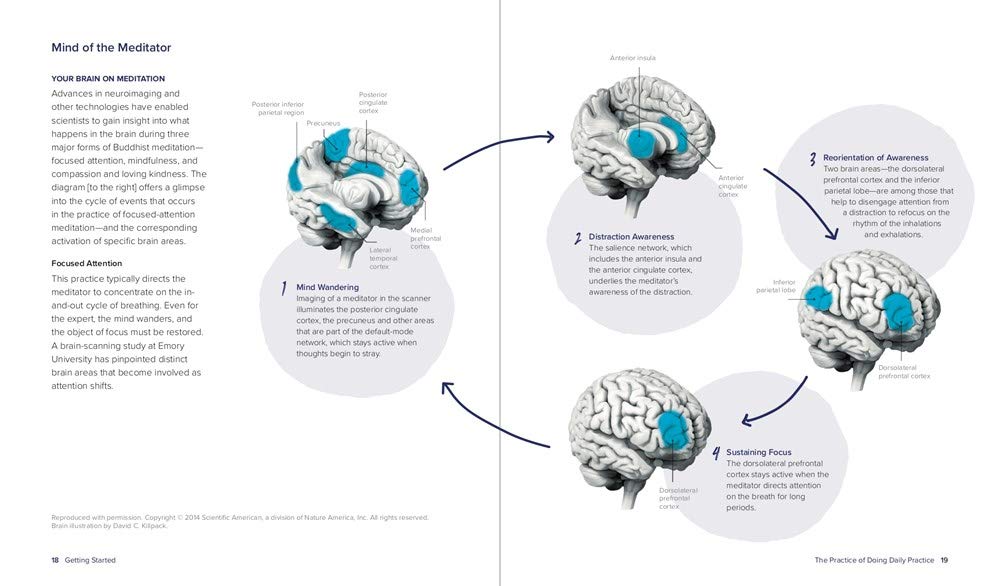 Mind of the Meditator graphic, white background with text, images of brain  on meditation