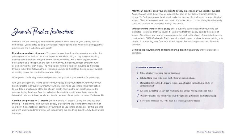 Shamata Practice Instructions, white background with text